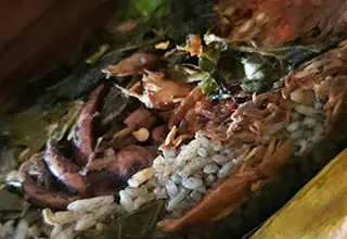Foto Nasi Bakar Tongkol